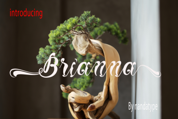 Brianna: A Luxurious Script Font for Web Design