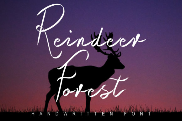 Enhance Your Editorial Design with Raindeer Forest Font