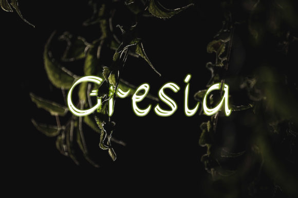 Gresia: A Unique and Elegant Handwritten Font for Designers