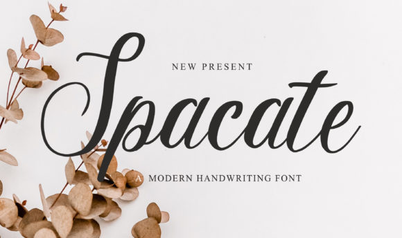 Transform Your Brand with Spacate: A Charming Script Font